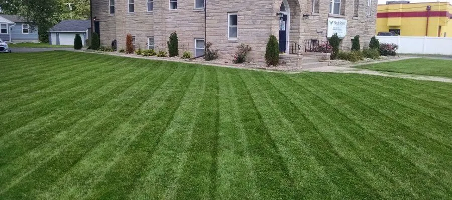 Freshly mowed residential lawn with alternating dark and light green stripe rows showing the clean finish expected from a weekly Steel Harbor mowing route.