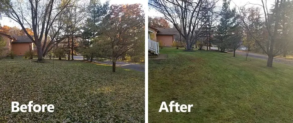 Before-and-after style yard cleanup scene showing overgrown grass and rough edges brought back under control for a cleaner residential yard.